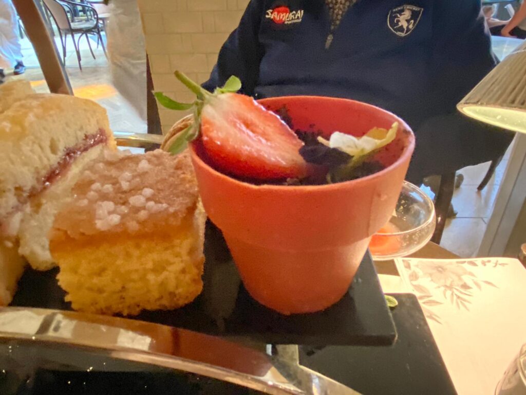 Chocolate flower pot