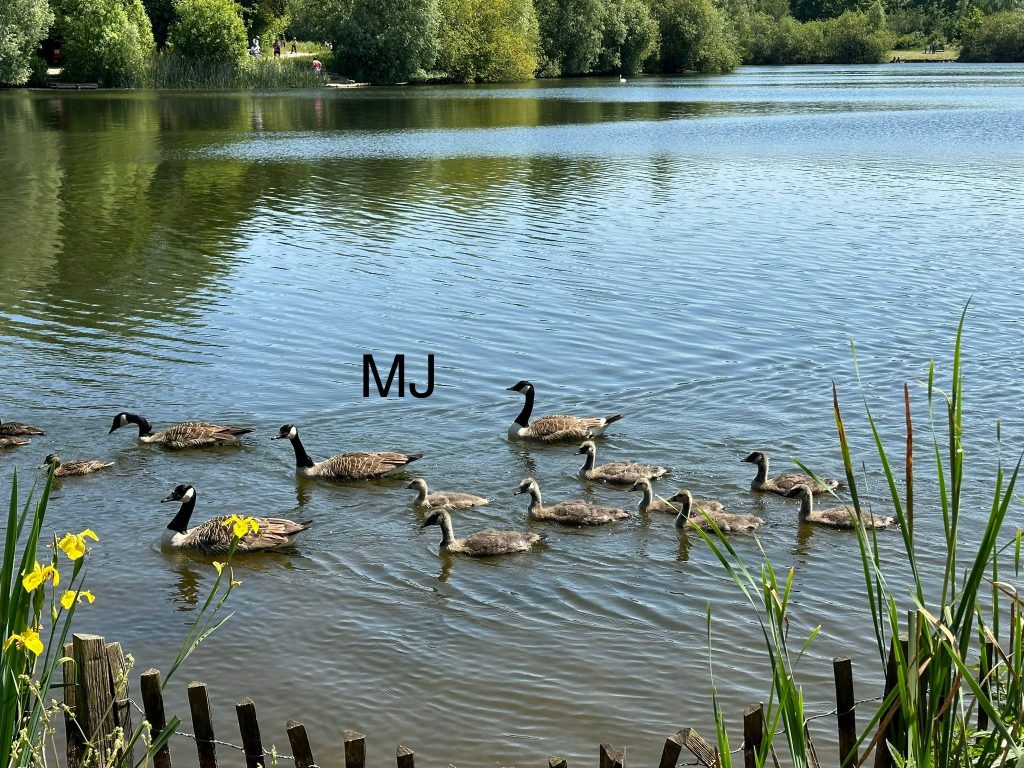 Haysden Country Park