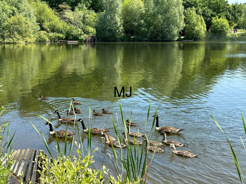 Haysden Country Park
