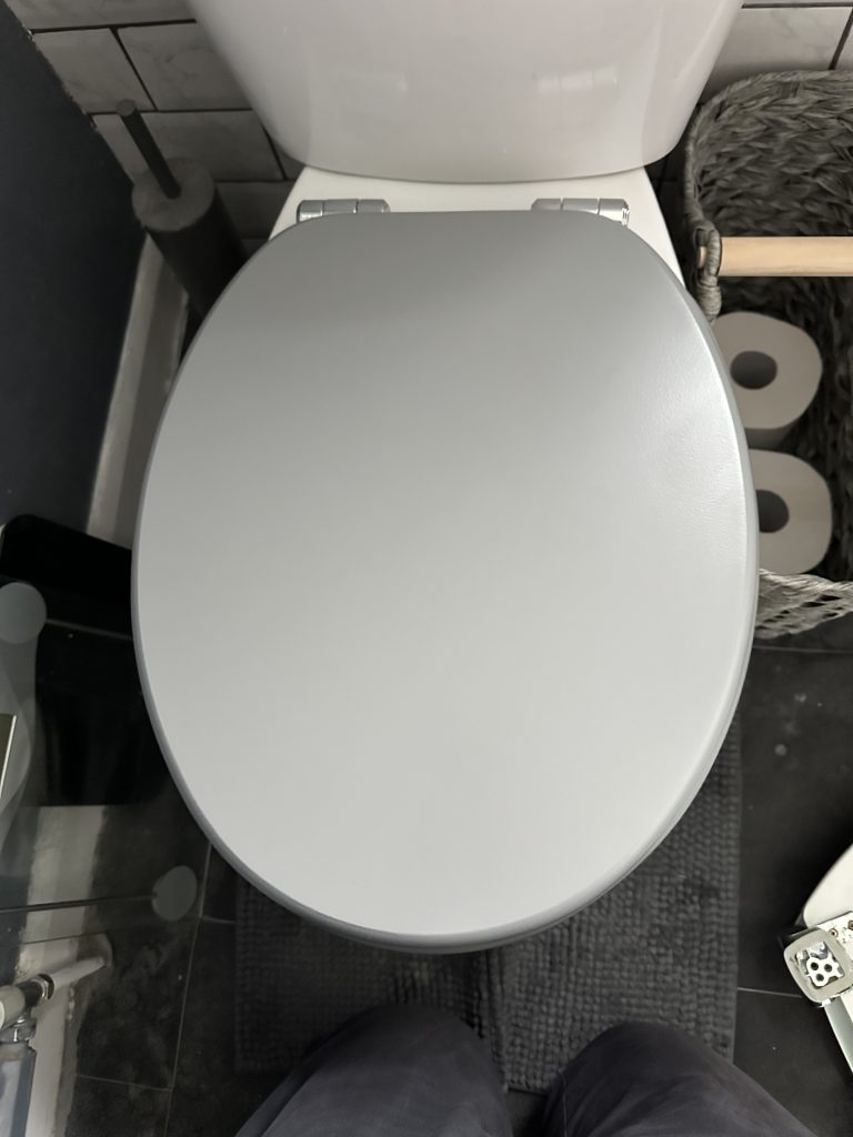 Toilet seat