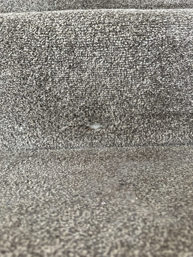 carpet