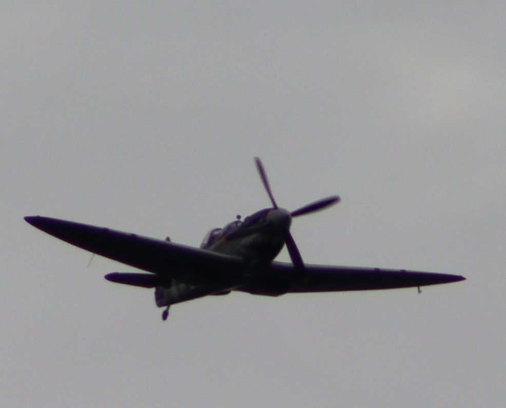 spitfire