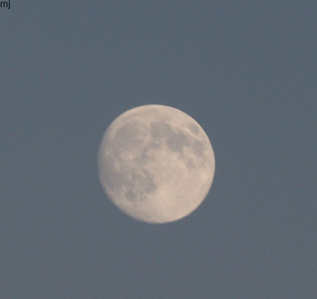 Moon