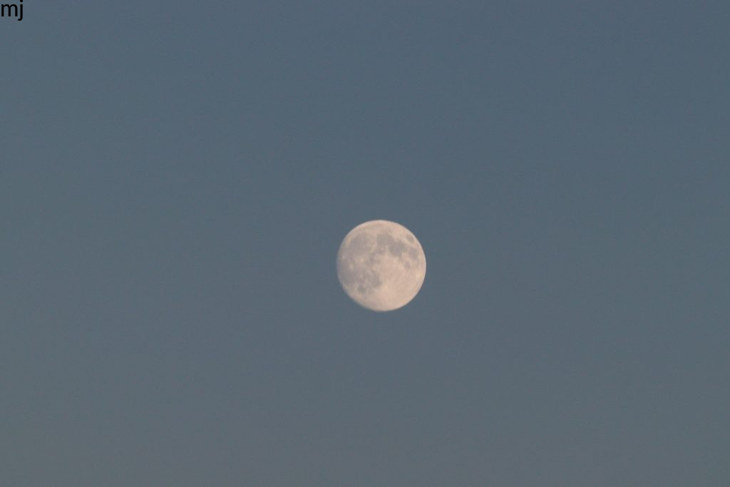 Moon