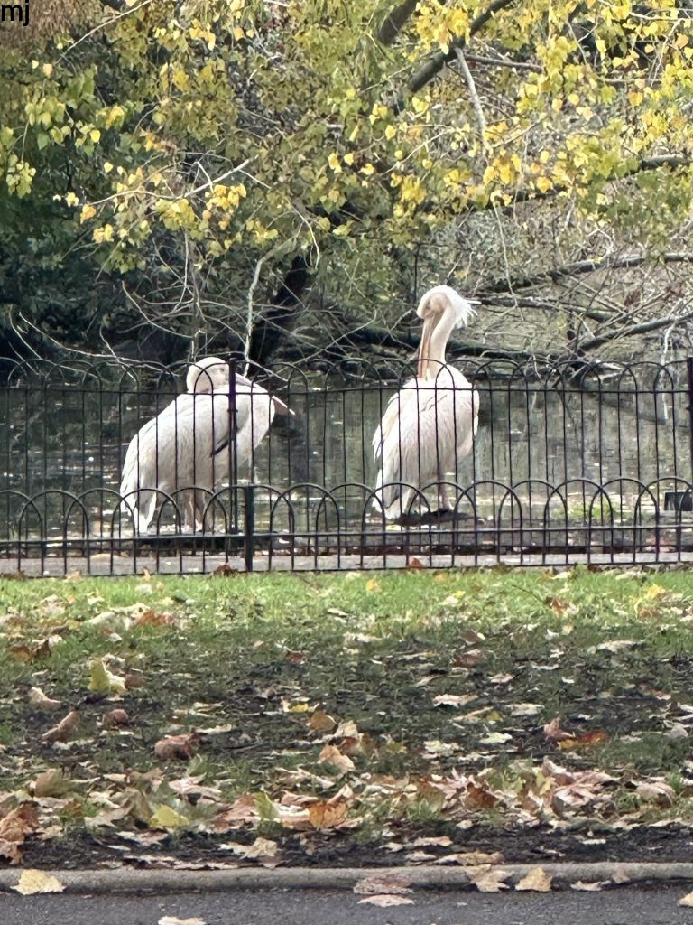 London