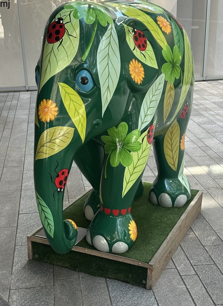 Elephant