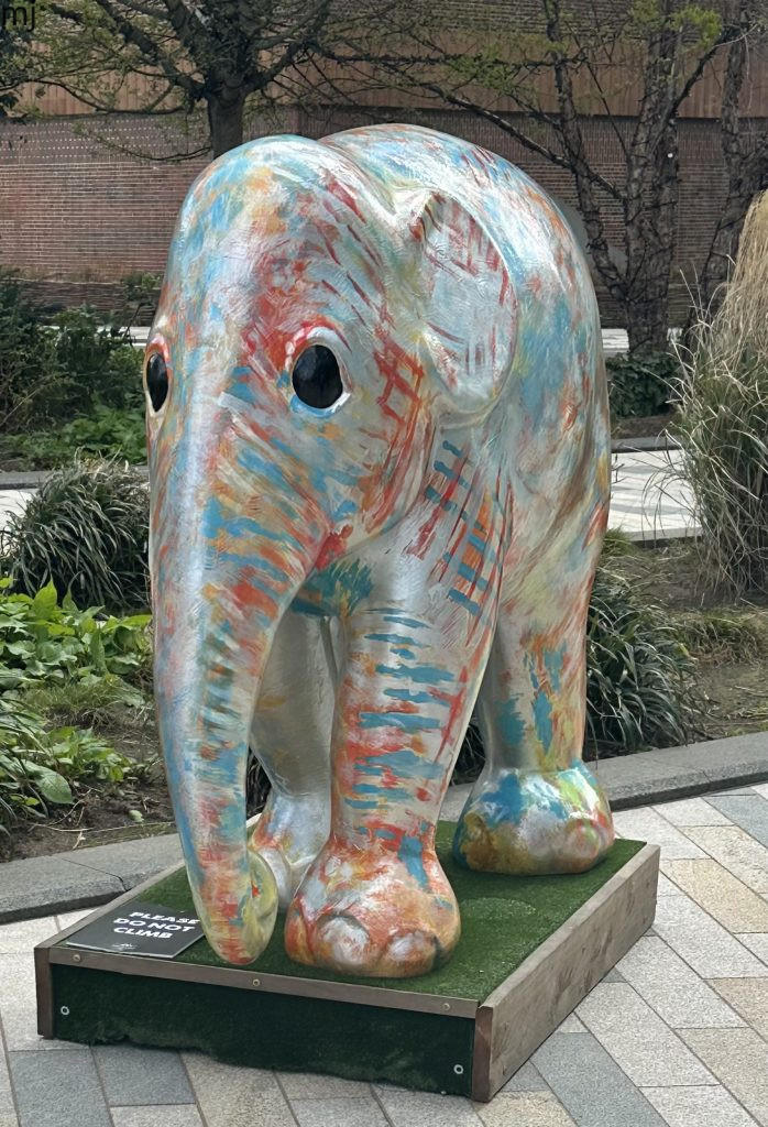 elephant