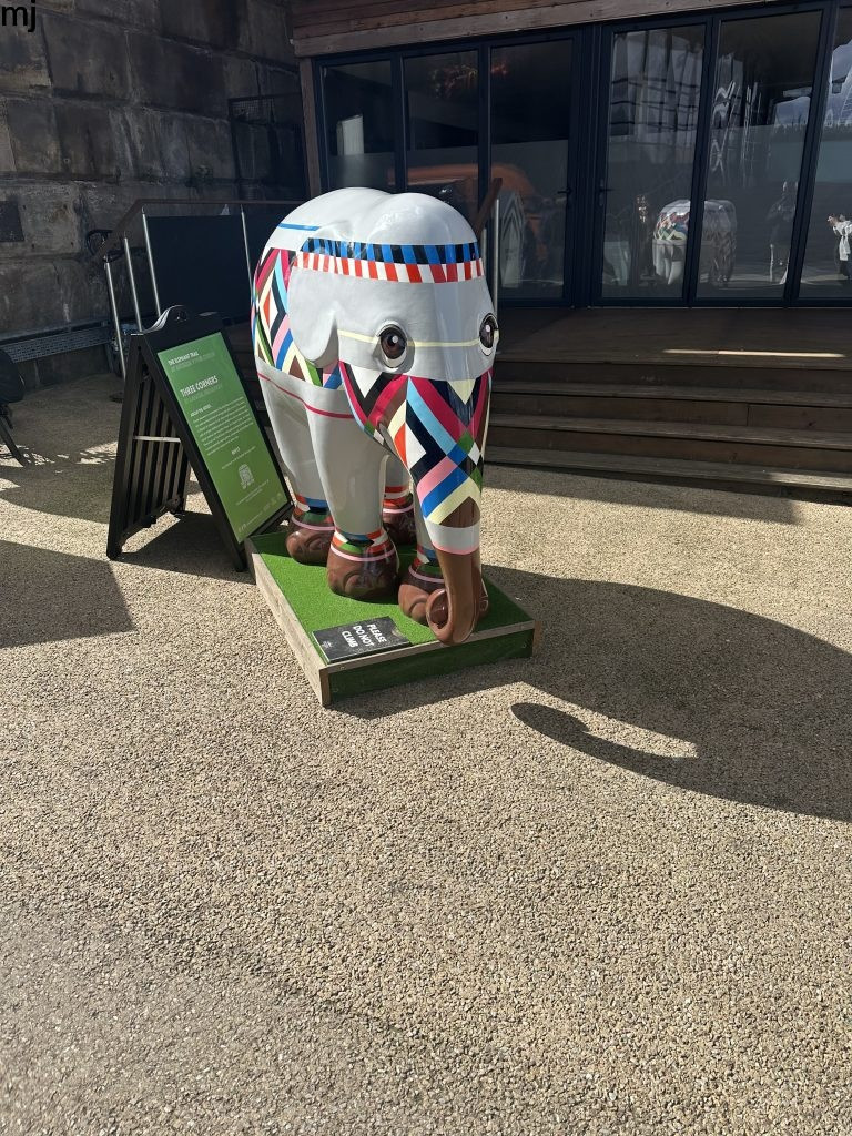 elephant