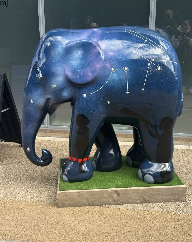elephant