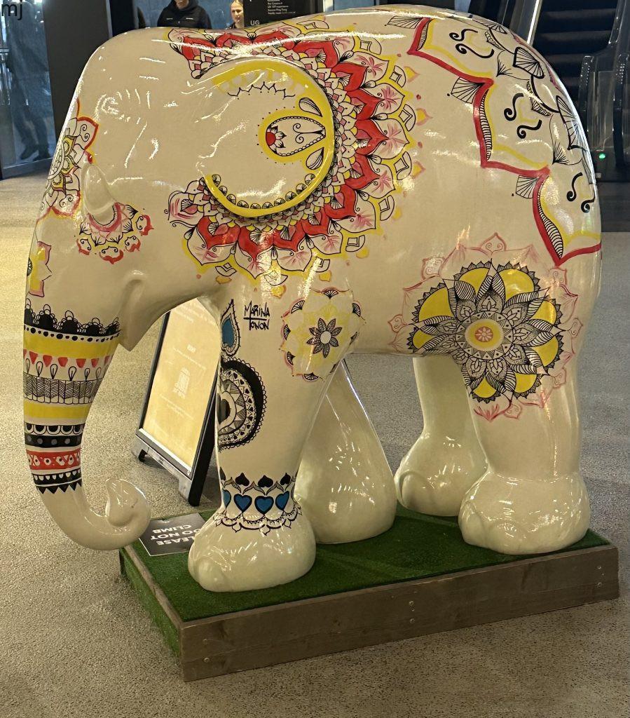 elephant