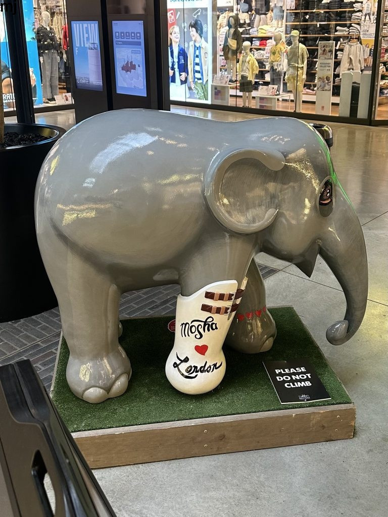 elephant