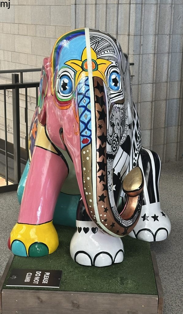 elephant