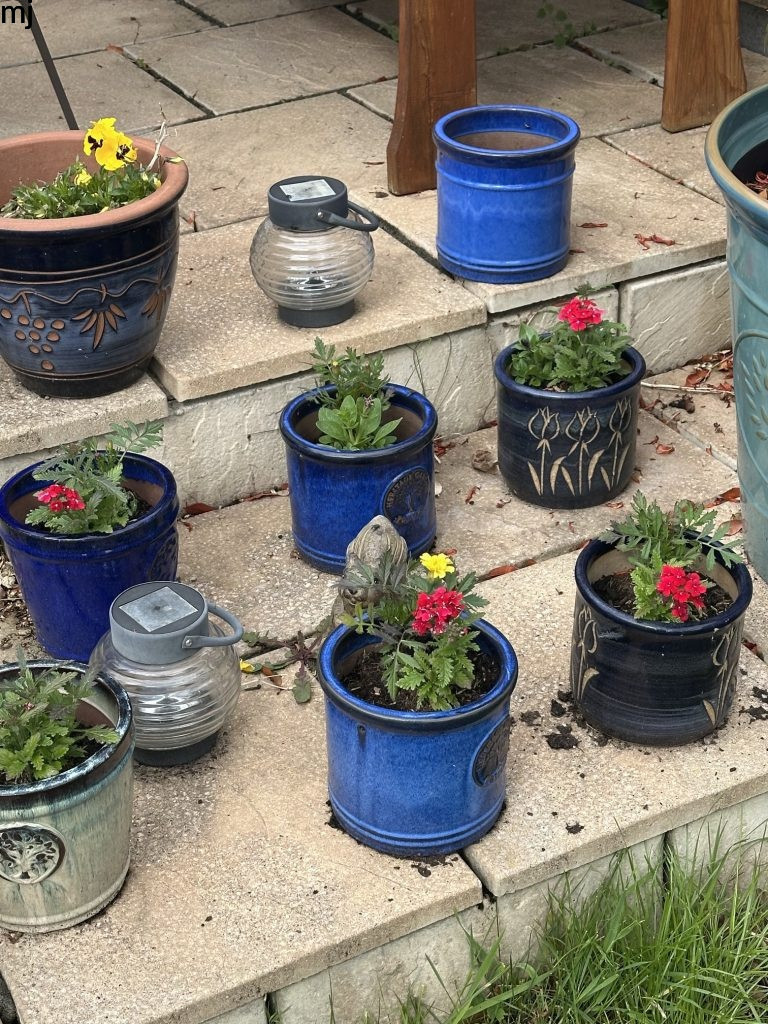 plants